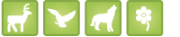 Découvrir la Faune des Pyrénées